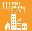 ODS 11