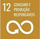 ODS 12