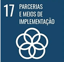 ODS 17