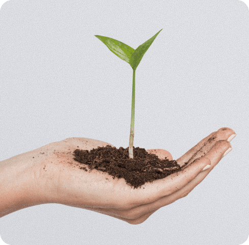 Próximos passos ESG