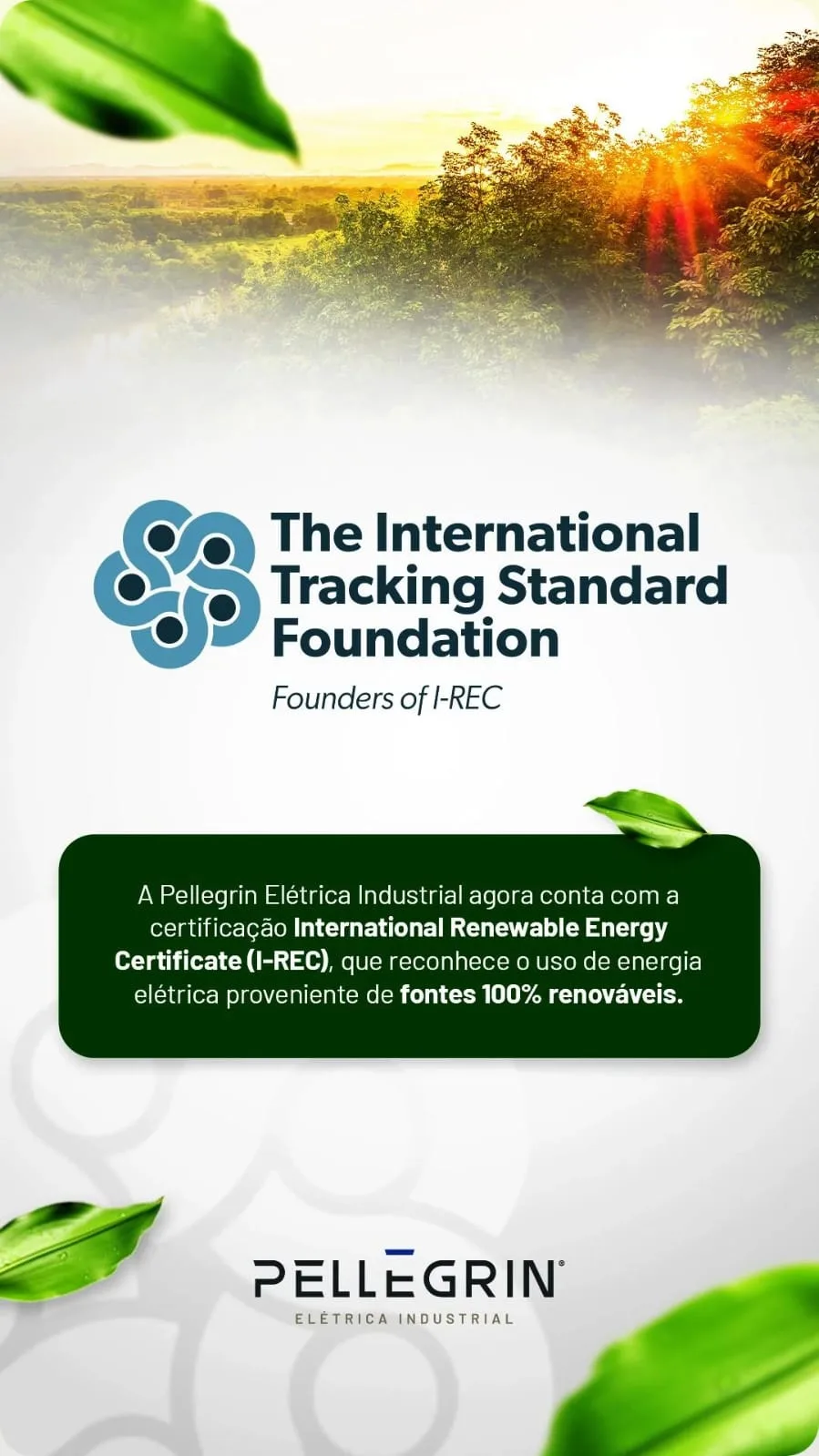 Arte ou documento do comunicado de certificação I-REC de energia renovável emitida para a Pellegrin.